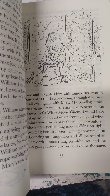 Picture of The Witches Novel by Roald Dahl (Yellowish - Paperback)