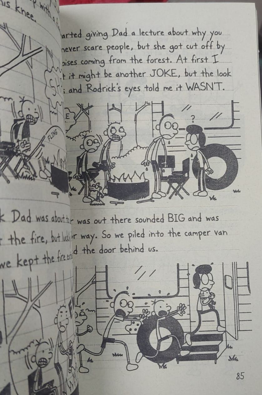 Picture of Wrecking Ball  (Diary of a Wimpy Kid Book 14)