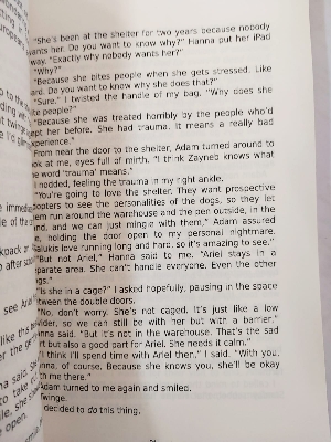 Picture of Love from A to Z Book by S.K. Ali (Premium - Paperback)