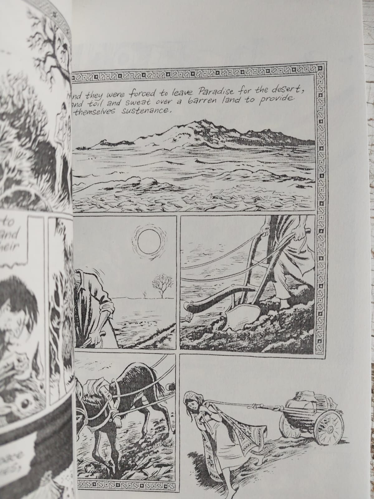 Picture of Habibi (Pantheon Graphic Library): Craig Thompson - Premium - Paperback