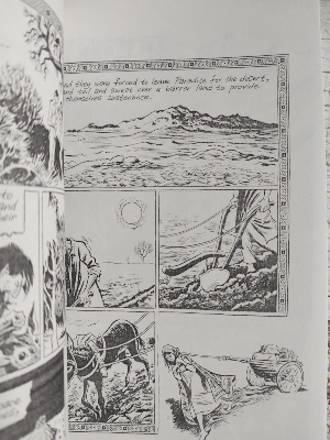 Picture of Habibi (Pantheon Graphic Library): Craig Thompson - Premium - Paperback