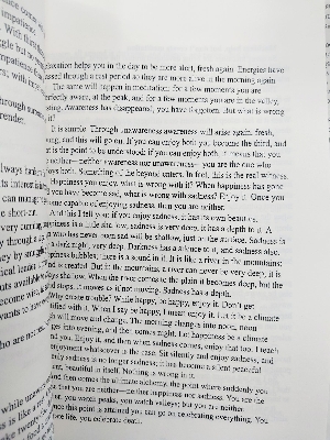 Picture of The Art of Public Speaking Book by Dale Carnegie (Premium - Paperback)