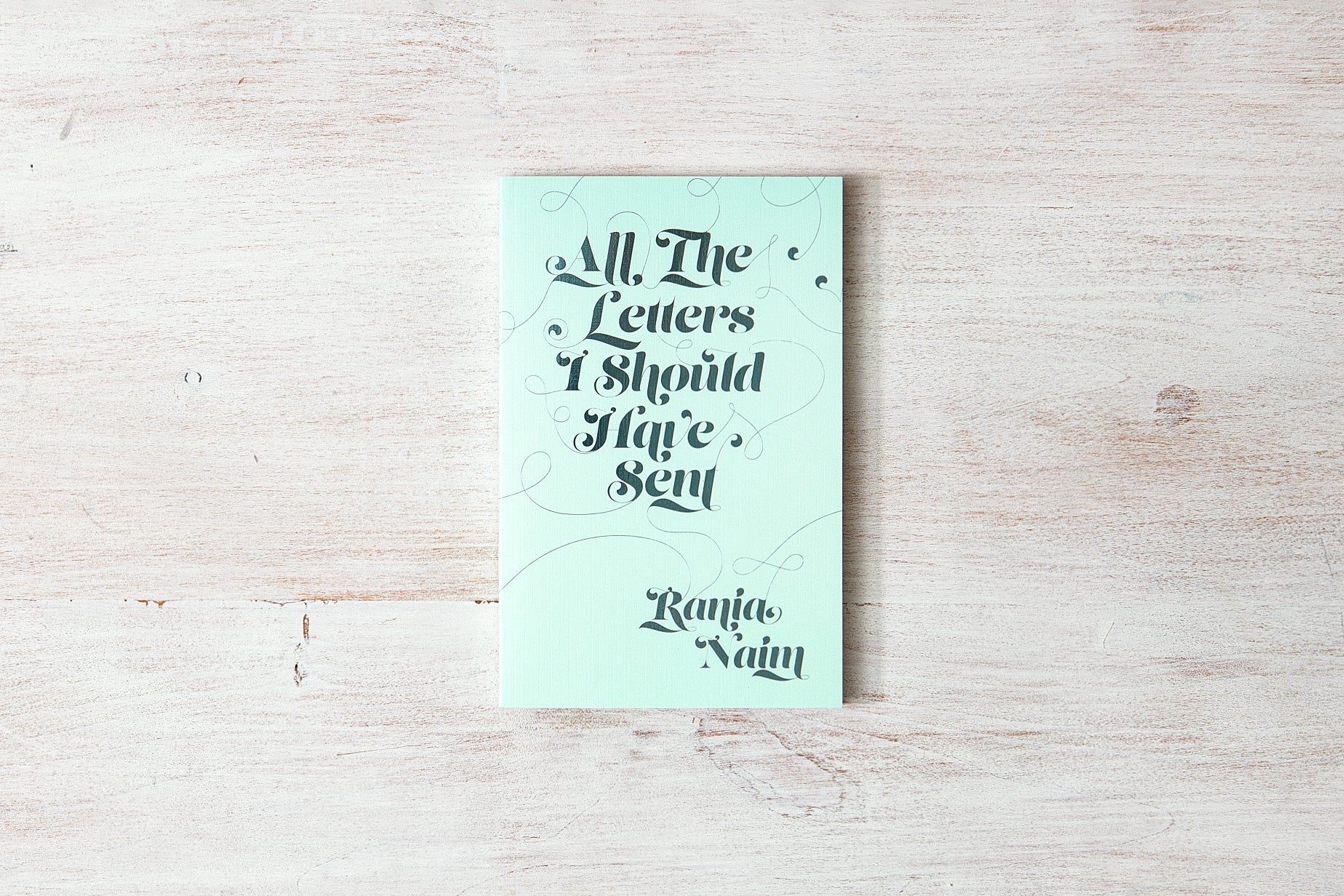 Picture of All the Letters I Should Have Sent Book by Rania Naim