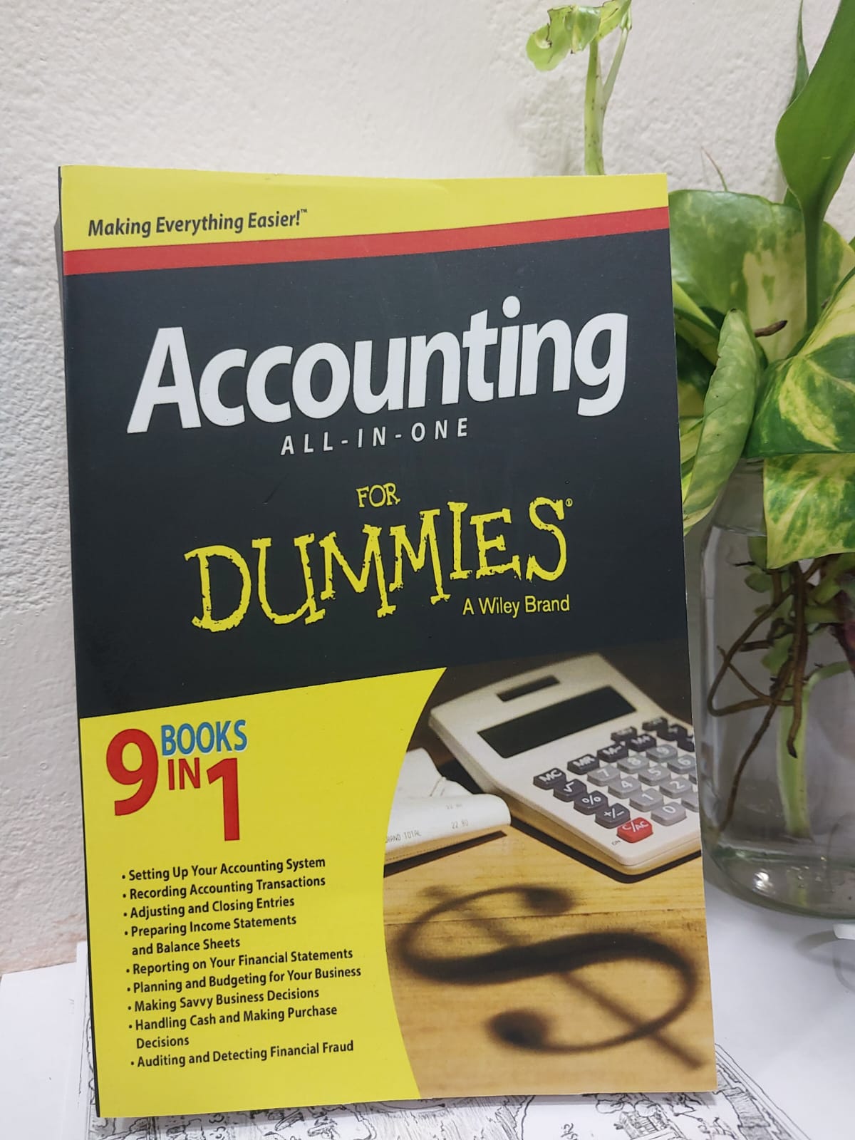 Picture of Accounting All-in-One For Dummies (For Dummies Series) by Kenneth W. Boyd