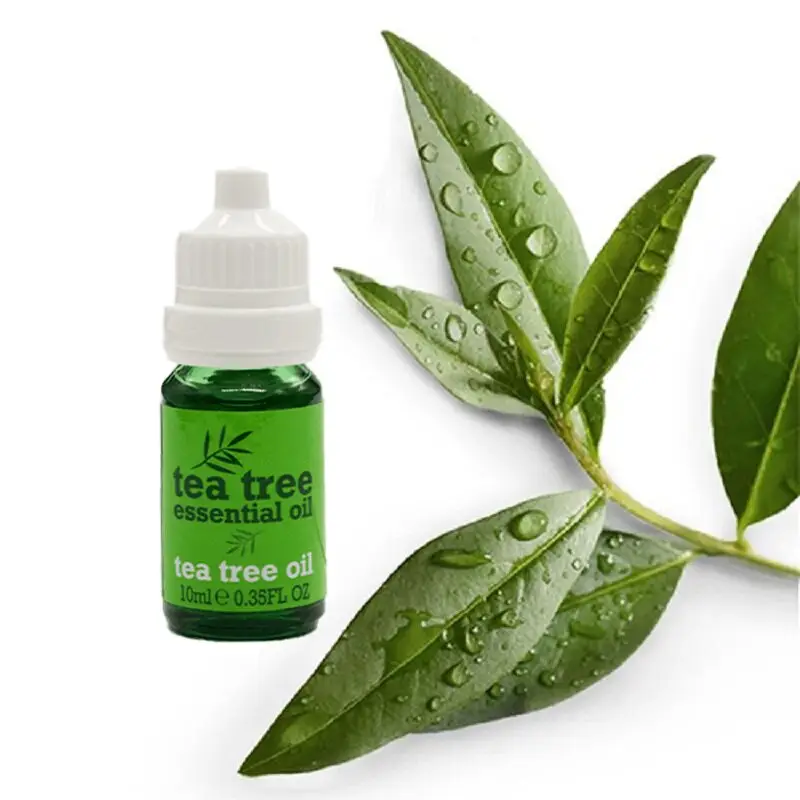 Picture of Tea Tree Essential Oil Tea Tree Oil (10ml)
