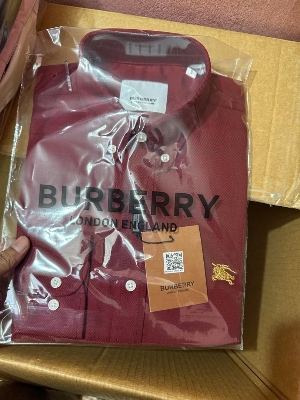 Picture of Burberry Check Shirt 433