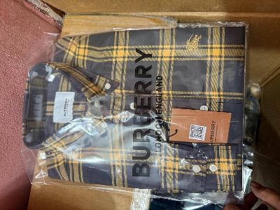 Picture of Burberry Check Shirt 453