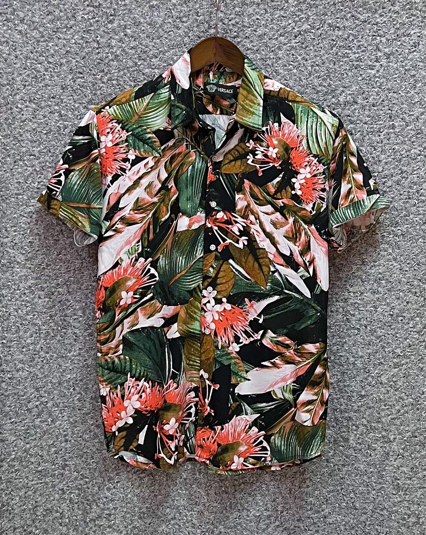 Picture of Hawaii Half Print 100