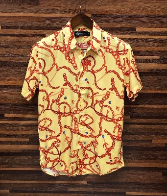 Picture of Hawaii Half Print 105