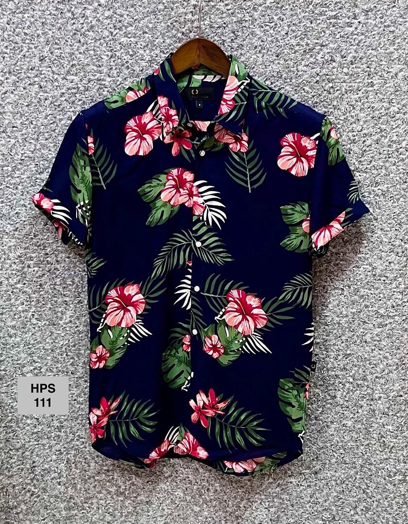 Picture of Hawaii Half Print 111