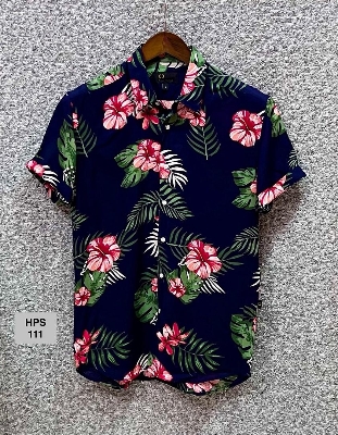 Picture of Hawaii Half Print 111