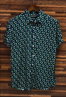 Picture of Hawaii Half Print 133