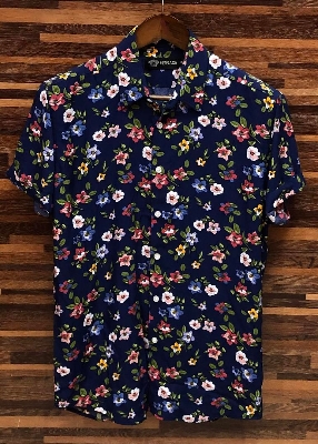 Picture of Hawaii Half Print 139