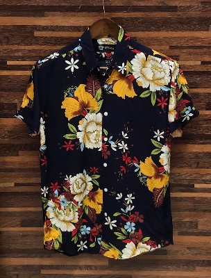 Picture of Hawaii Half Print 146