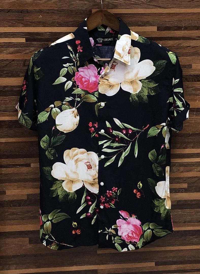 Picture of Hawaii Half Print 149