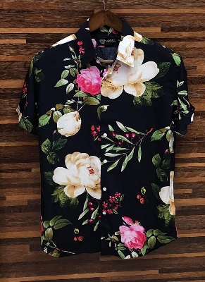 Picture of Hawaii Half Print 149