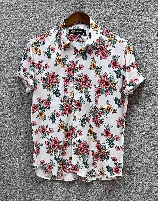 Picture of Hawaii Half Print 158