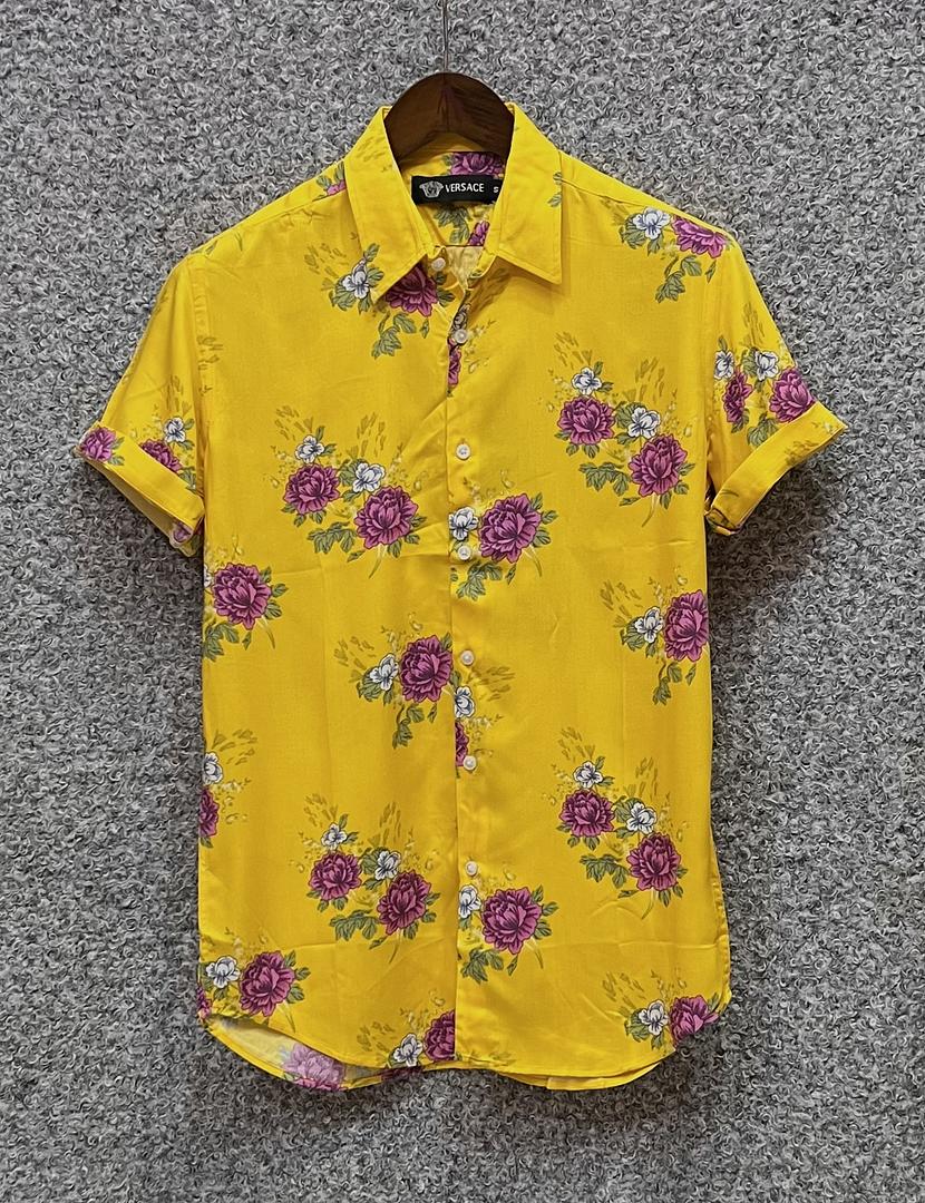 Picture of Hawaii Half Print 16