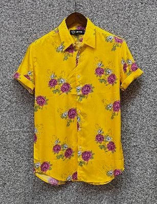 Picture of Hawaii Half Print 16