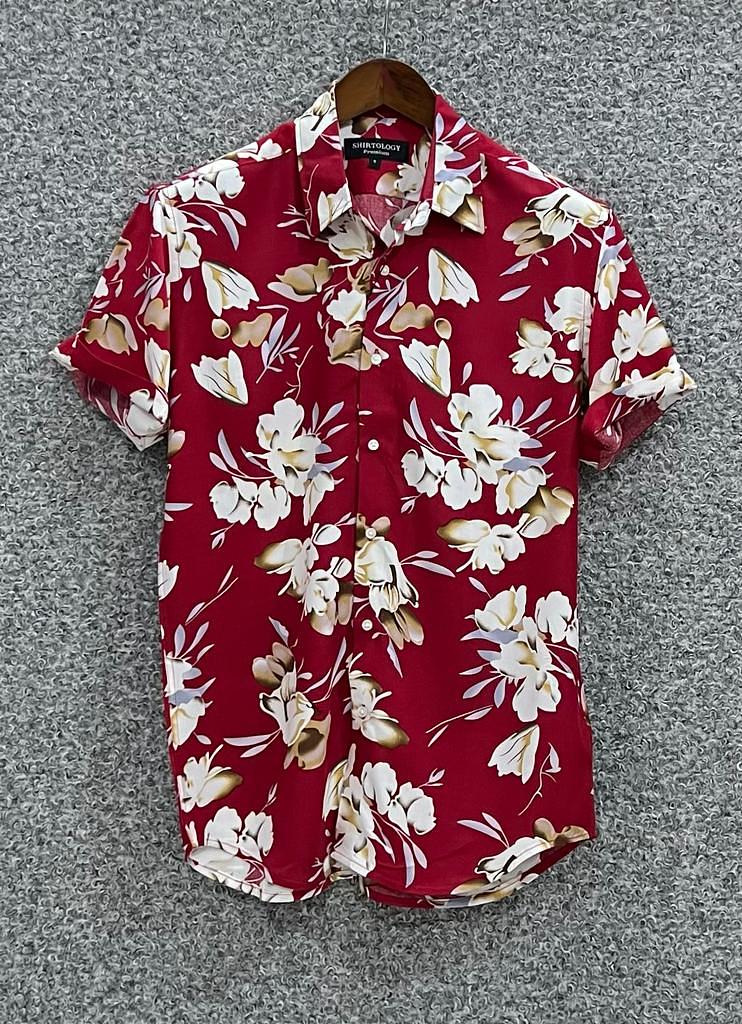 Picture of Hawaii Half Print 164