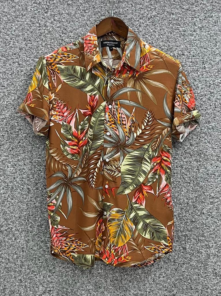 Picture of Hawaii Half Print 165