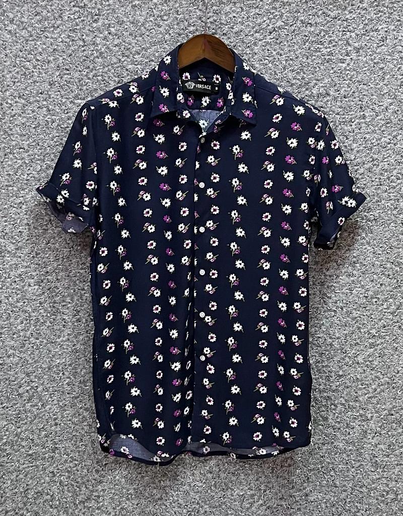 Picture of Hawaii Half Print 169