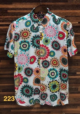 Picture of Hawaii Half Print 223