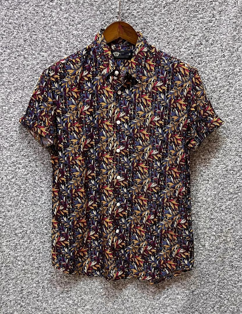 Picture of Hawaii Half Print 23