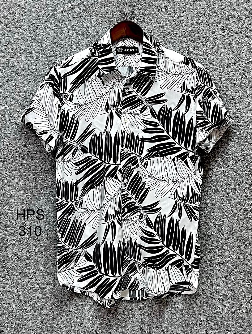 Picture of Hawaii Half Print 310