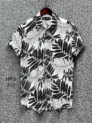 Picture of Hawaii Half Print 310