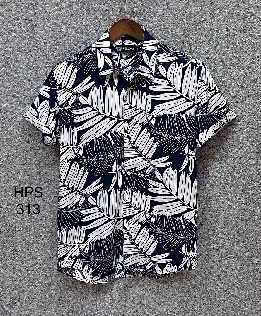 Picture of Hawaii Half Print 313