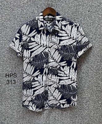 Picture of Hawaii Half Print 313
