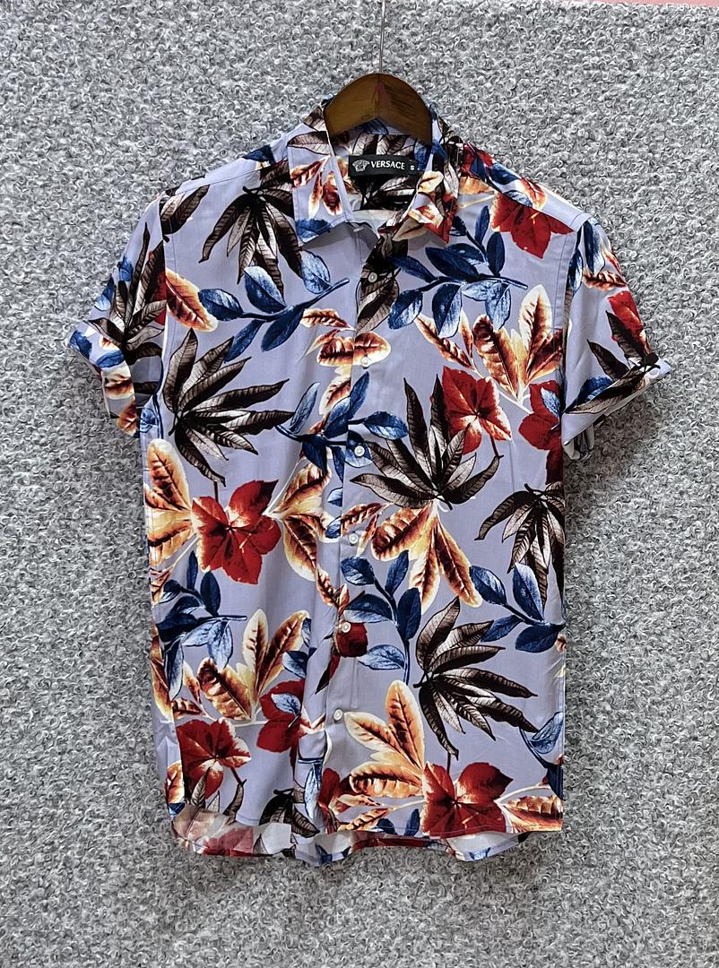 Picture of Hawaii Half Print 32