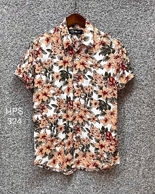 Picture of Hawaii Half Print 324