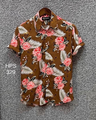 Picture of Hawaii Half Print 329
