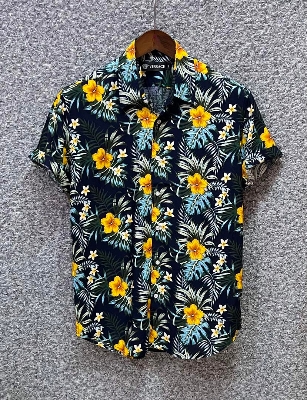 Picture of Hawaii Half Print 37