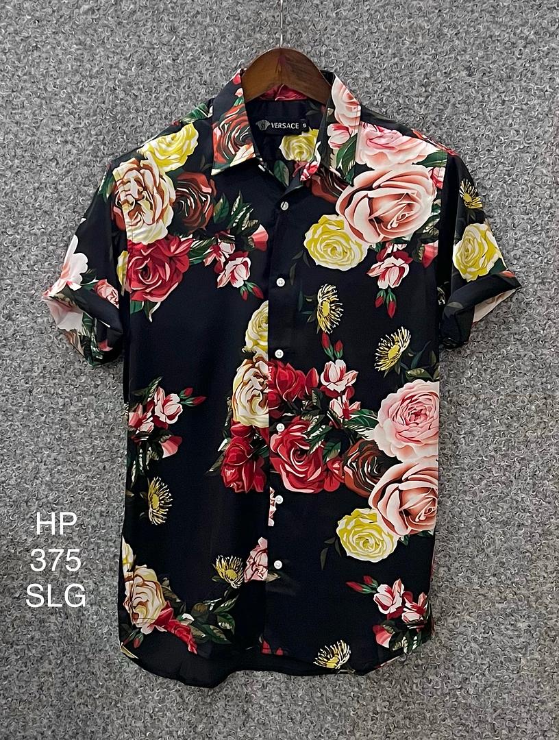 Picture of Hawaii Half Print 375