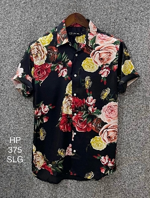 Picture of Hawaii Half Print 375