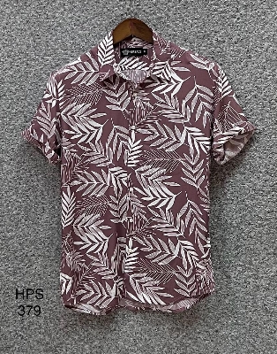 Picture of Hawaii Half Print 379