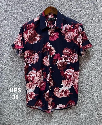 Picture of Hawaii Half Print 38