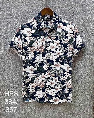 Picture of Hawaii Half Print 384