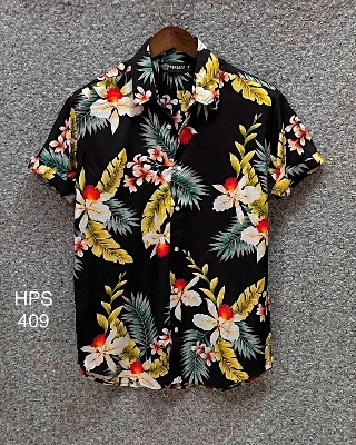 Picture of Hawaii Half Print 409