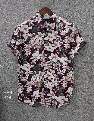 Picture of Hawaii Half Print 414