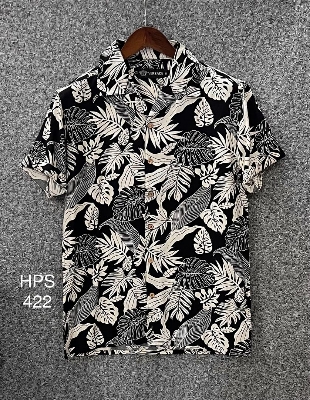 Picture of Hawaii Half Print 422