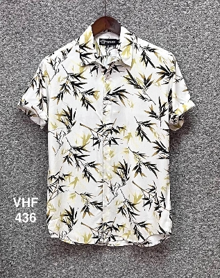 Picture of Hawaii Half Print 436
