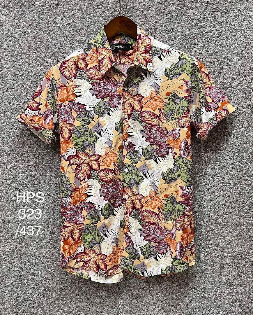 Picture of Hawaii Half Print 437
