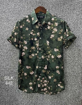 Picture of Hawaii Half Print 442