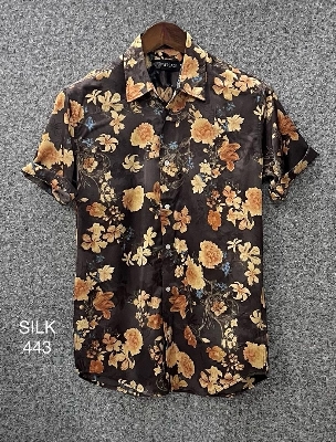 Picture of Hawaii Half Print 443