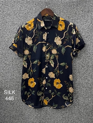 Picture of Hawaii Half Print 446