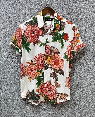 Picture of Hawaii Half Print 50